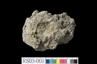 藏品(鈣質泥岩)的圖片